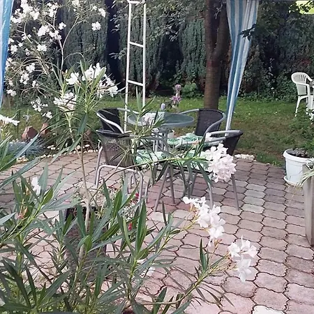 Merci * サラエヴォ